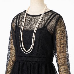 LilyBrown  リリーブラウン　チュールレース刺繍ドレス　ブラック/M